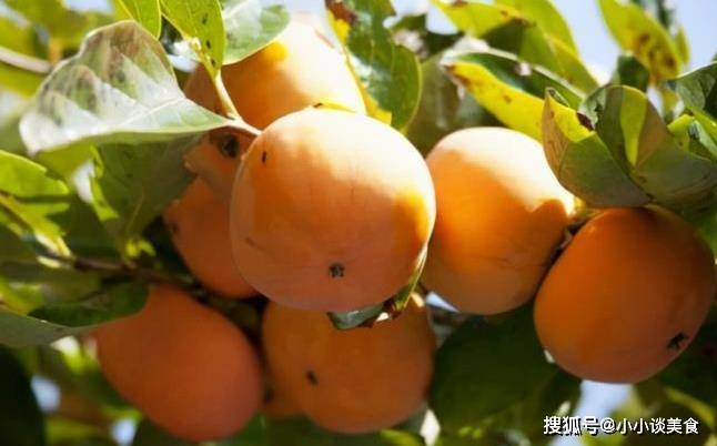 橘子和苹果的笑话中文版:1月刚刚开始过新年，大家都爱吃3种如意果，寓意发家招财吉祥如意