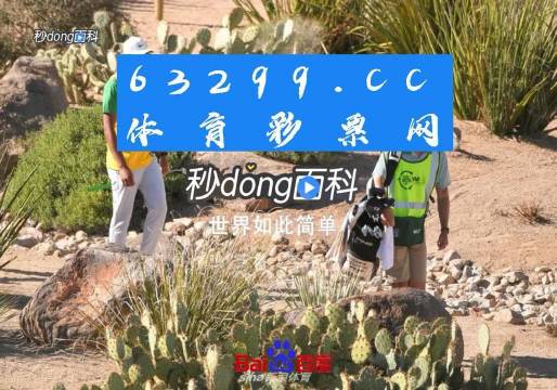 彩神v客户端v2视频会议客户端下载-第1张图片-太平洋在线下载