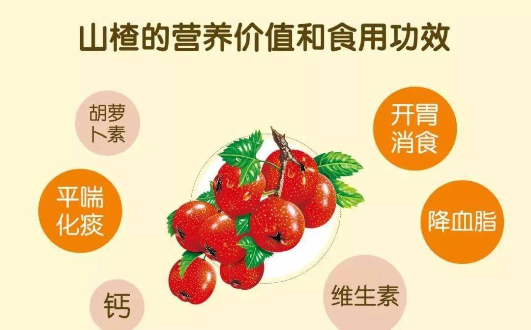 梨苹果和枸杞煮的功效新闻梨山楂冰糖一起煮水喝的功效-第1张图片-太平洋在线下载