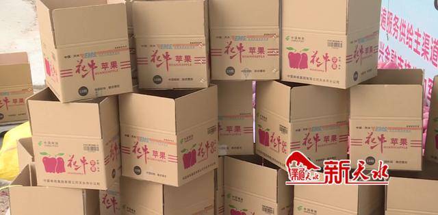 可靠快递苹果版名字网上付费起名字可靠吗-第1张图片-太平洋在线下载