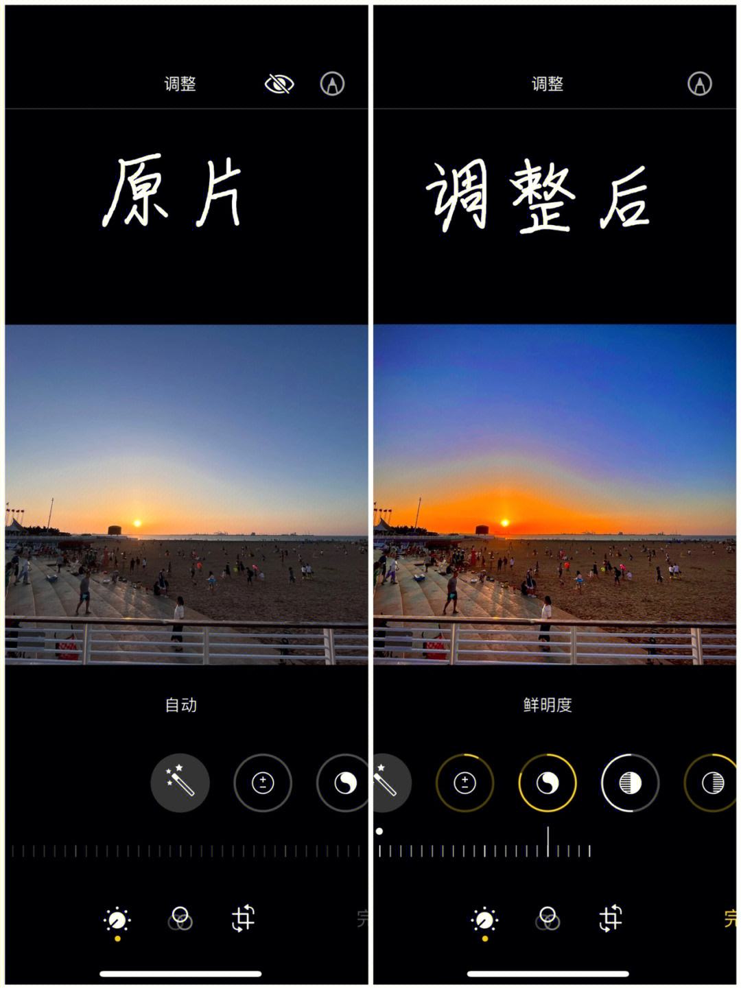 拳击调色苹果版软件sunoai官网软件下载