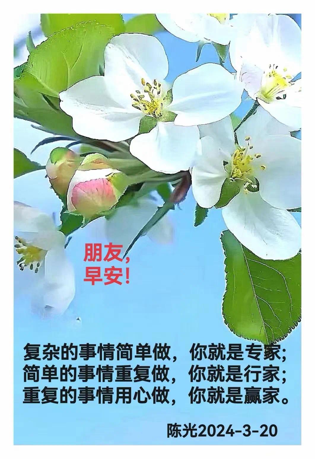 陈光安卓版安卓app下载安装
