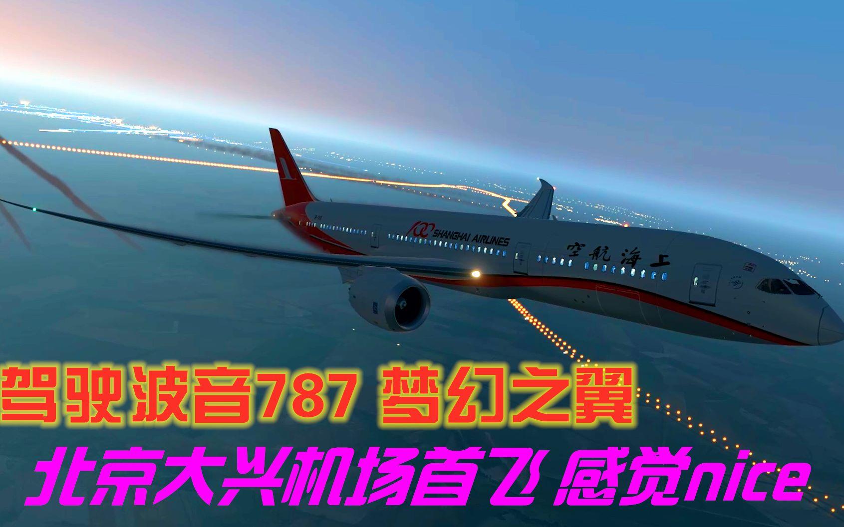安卓版飞行787专业模拟飞行10手机版破解版
