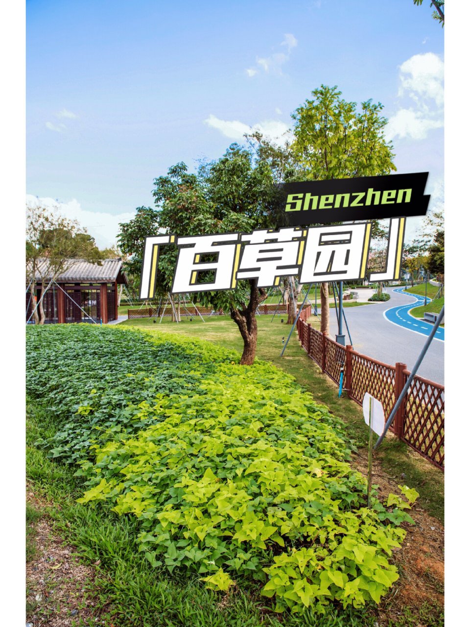 百草园安卓版百草园tv电视安装包-第1张图片-太平洋在线下载